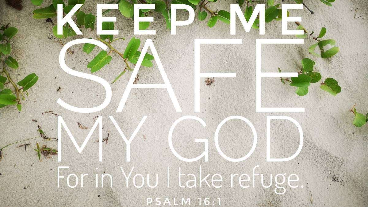 a green plant on sand - Bible verses about hard times